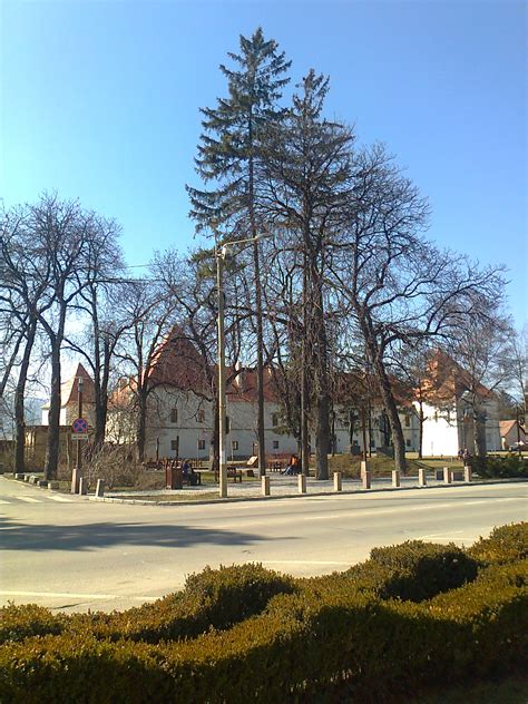 Tasnad, Satu Mare, Romania Weather Forecast 